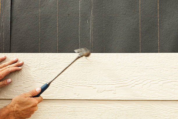 Best Steel Siding Installation  in Itta Bena, MS